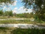 florida_splendid_06-0984.html