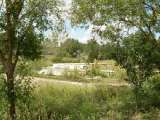 florida_splendid_06-0985.html