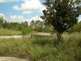 florida_splendid_06-0986.html