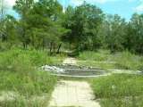 florida_splendid_06-0989.html