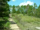 florida_splendid_06-0990.html