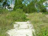 florida_splendid_06-0991.html