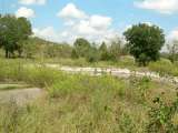 florida_splendid_06-0992.html