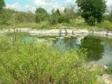 florida_splendid_06-0993.html