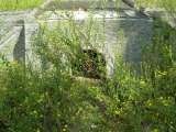 florida_splendid_06-0995.html