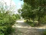 florida_splendid_06-0999.html