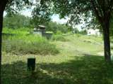 florida_splendid_06-1003.html
