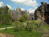 florida_splendid_06-1004.html