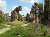 florida_splendid_06-1005.html