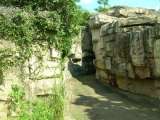 florida_splendid_06-1021.html