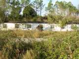 florida_splendid_08-003.html
