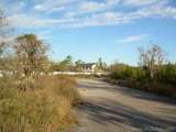 florida_splendid_08-004.html