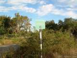florida_splendid_08-008.html