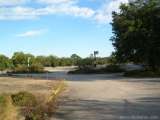 florida_splendid_08-011.html