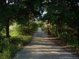 florida_splendid_08-012.html