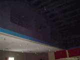 florida_splendid_08-060.html