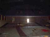 florida_splendid_08-066.html