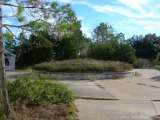 florida_splendid_08-070.html