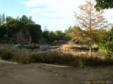 florida_splendid_08-081.html