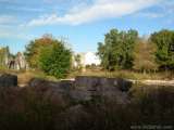 florida_splendid_08-086.html