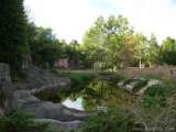 florida_splendid_08-087.html