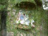 florida_splendid_08-091.html