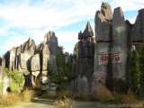 florida_splendid_08-094.html