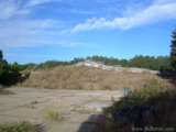florida_splendid_08-095.html