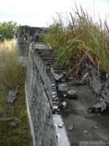 florida_splendid_08-100.html