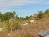 florida_splendid_08-105.html