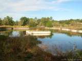 florida_splendid_08-106.html