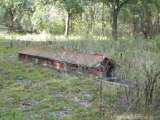 florida_splendid_08-110.html