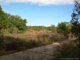 florida_splendid_08-114.html