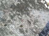 florida_splendid_08-116.html