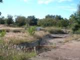 florida_splendid_08-119.html