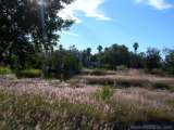 florida_splendid_08-120.html