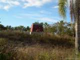 florida_splendid_08-121.html