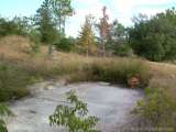 florida_splendid_08-126.html