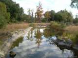 florida_splendid_08-127.html