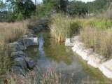 florida_splendid_08-129.html