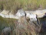 florida_splendid_08-130.html