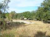 florida_splendid_08-133.html