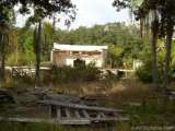 florida_splendid_08-135.html