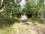 florida_splendid_08-137.html