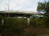 florida_splendid_08-142.html