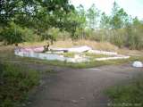 florida_splendid_08-146.html