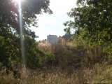 florida_splendid_08-153.html