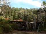 florida_splendid_08-155.html