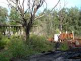 florida_splendid_08-157.html