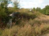 florida_splendid_08-159.html